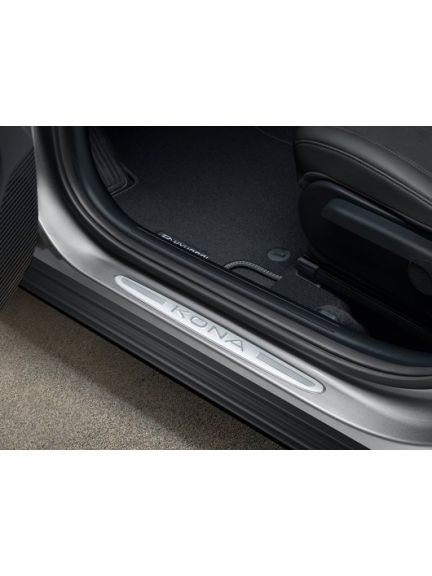 Protecciones de entrada