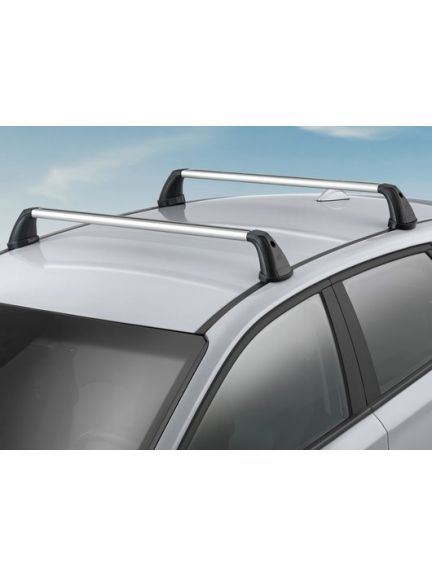 Baca de techo de aluminio